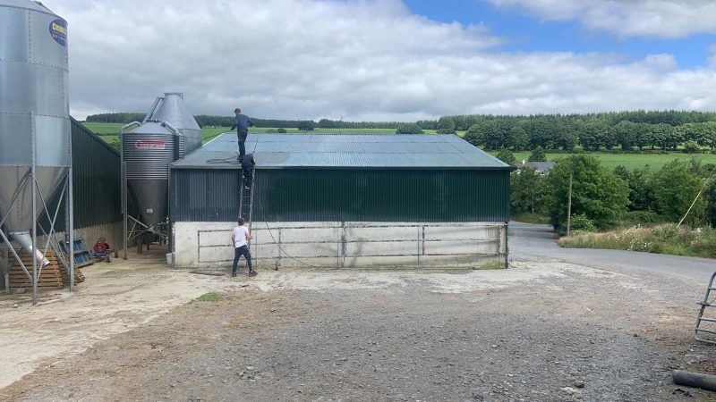 Farm painting sheds in Rossmore