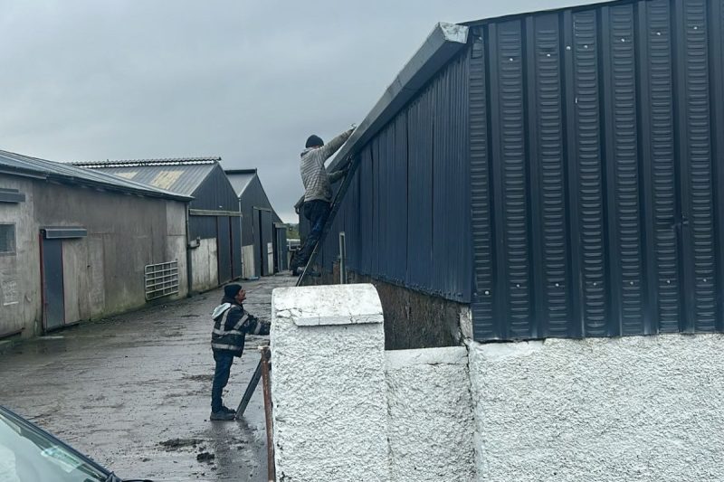 Farm shed cleaning and painting Carrickbeg