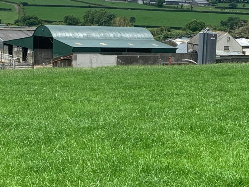 Farm painting sheds in Templemore