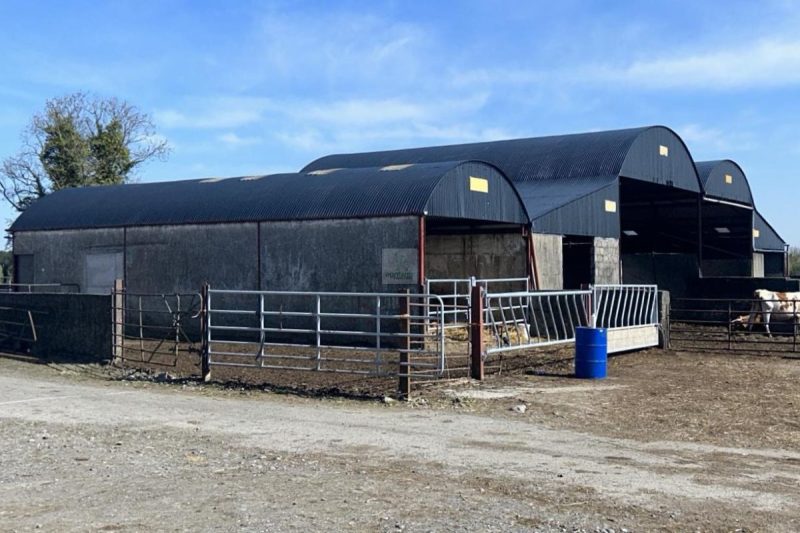 Farm shed cleaning and painting Bansha