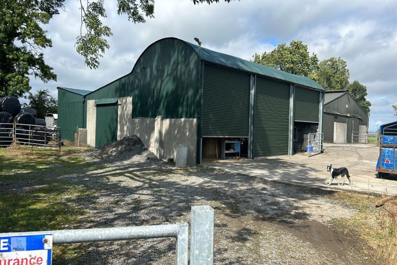 Farm shed cleaning and painting Littleton
