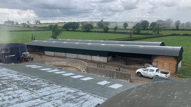 Farm shed cleaning and painting Roscrea