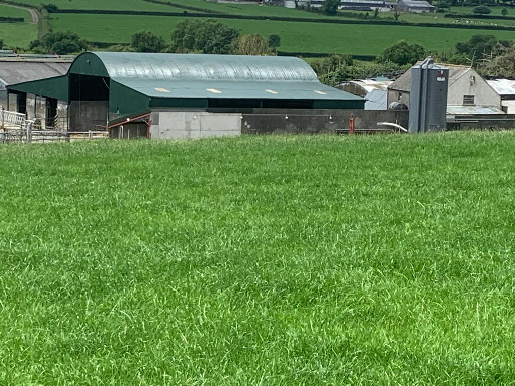 Cleaning and Restoration Specialists