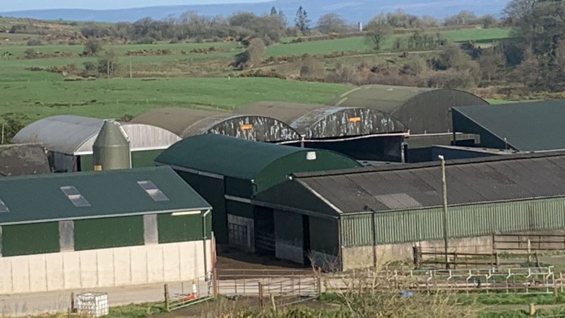 Farm painting sheds in Cashel